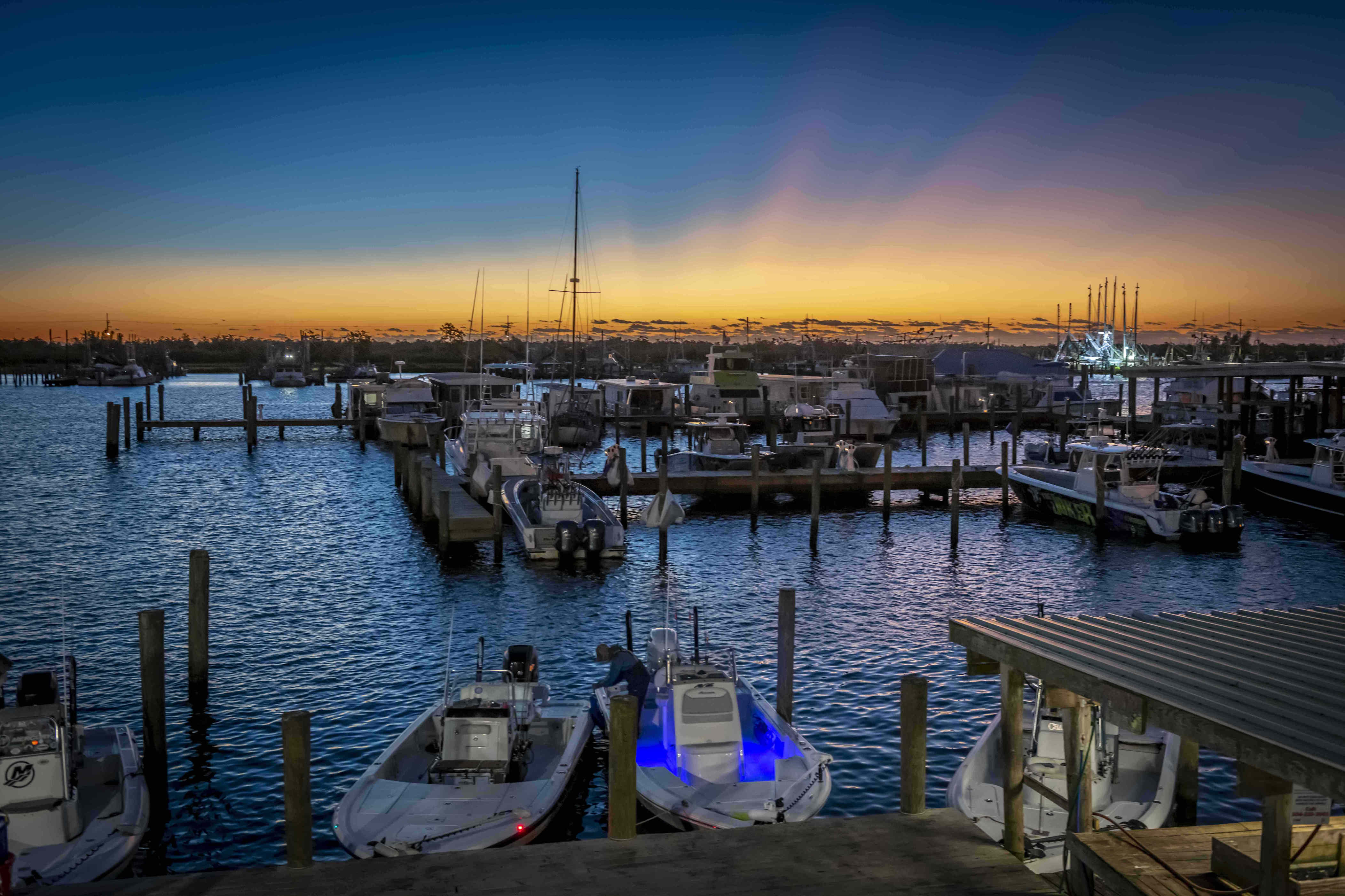 This remote slice of Louisiana is a paradise for bird watchers, seafood ...