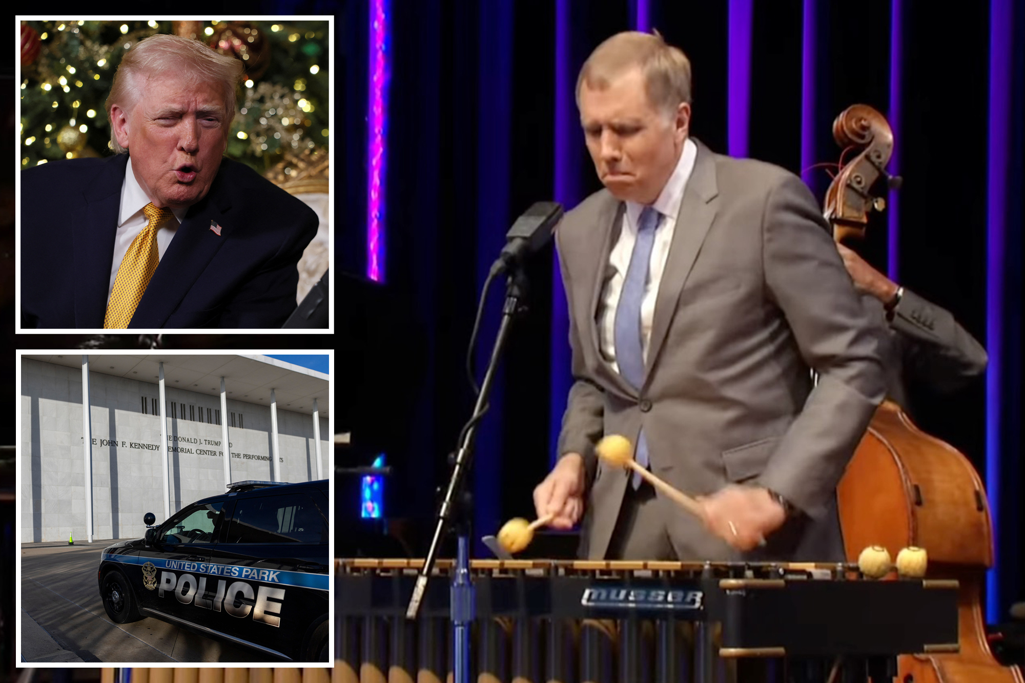Trump fans blast musician who canceled holiday concert to protest ...