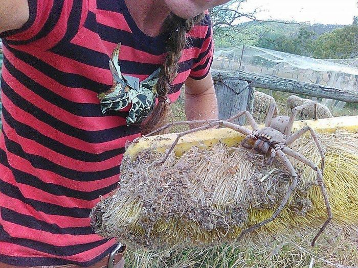 30 Times Nature Made Us Say “NOPE”