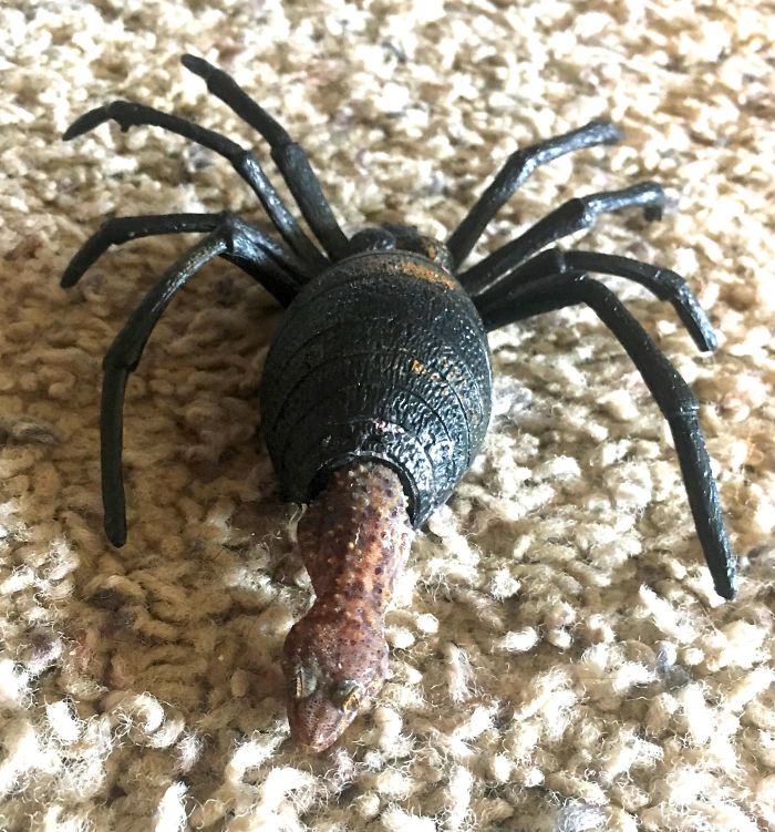 30 Times Nature Made Us Say “NOPE”
