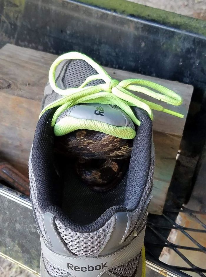 30 Times Nature Made Us Say “NOPE”