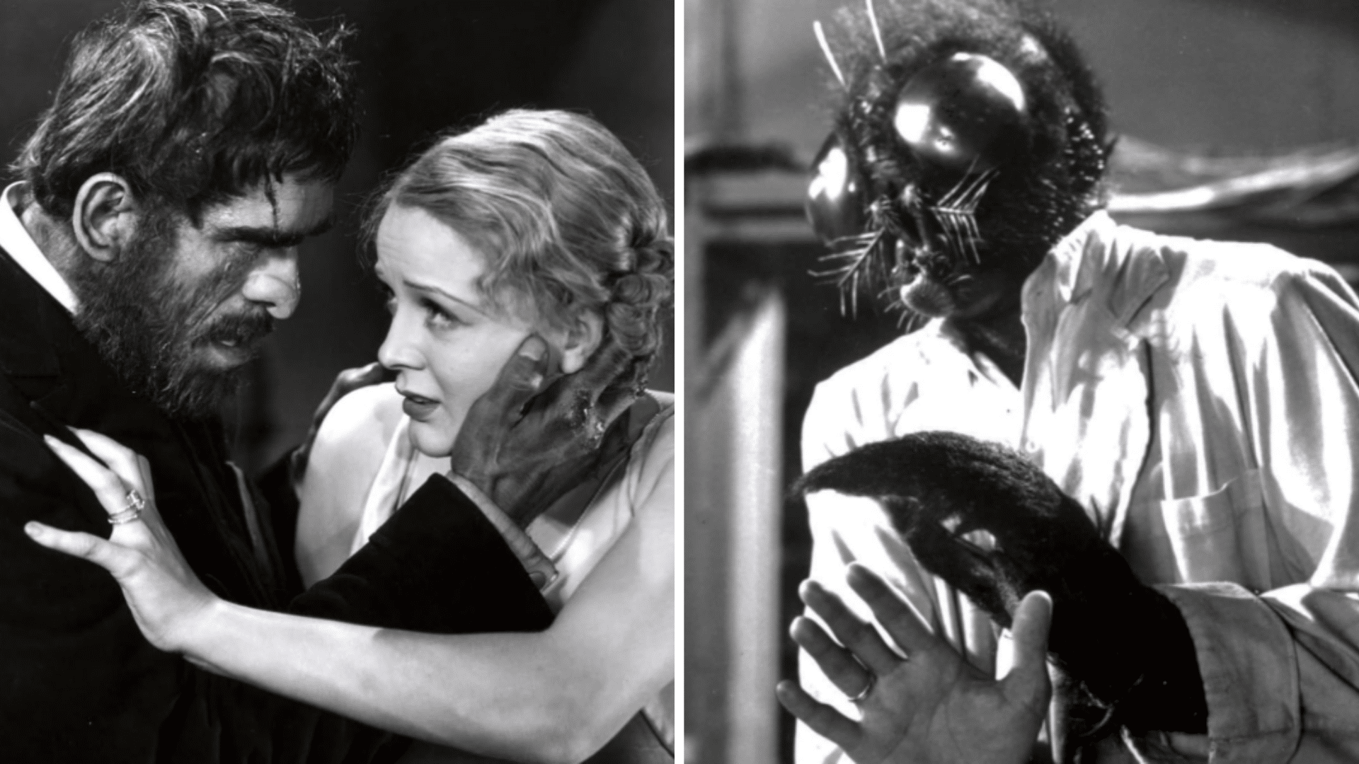 Old horror movies that found new fans over time