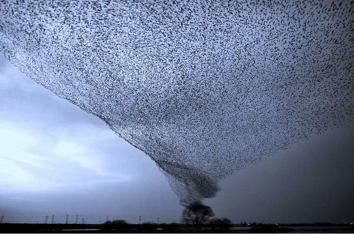 30 Times Nature Made Us Say “NOPE”
