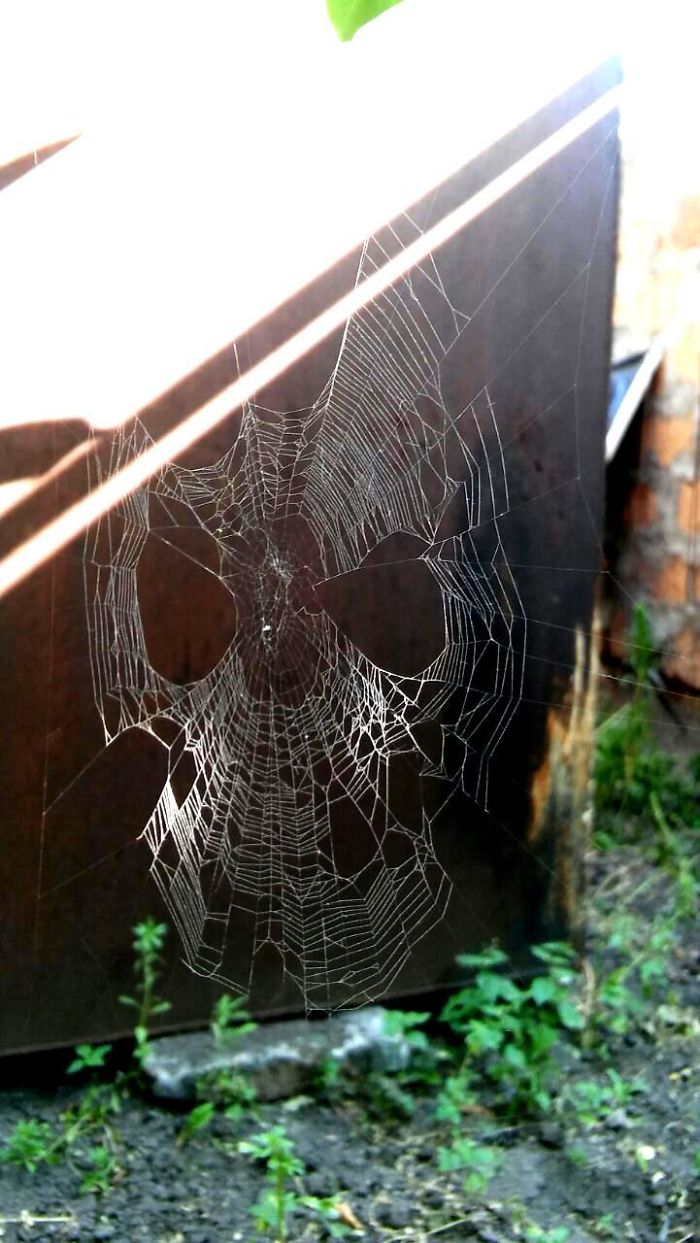 30 Times Nature Made Us Say “NOPE”