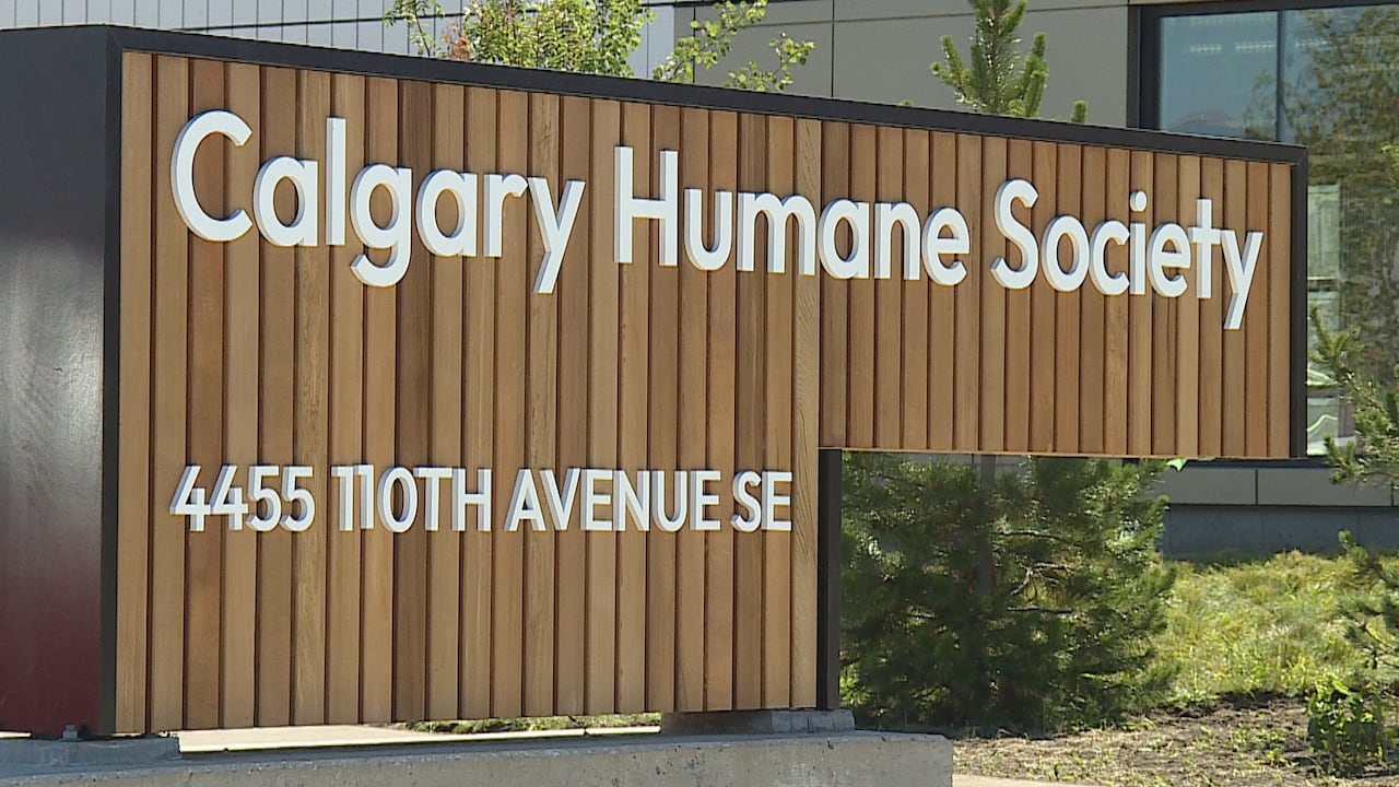 Man charged following animal abuse investigation by police, Calgary ...