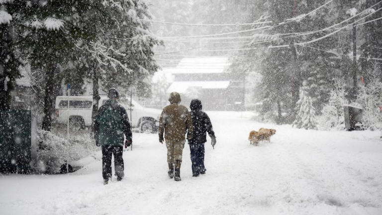 A family walks with their dog during heavy snow near Donner Lake in Truckee in California on Christmas Eve. - Tayfun Coskun/Anadolu/Getty Images