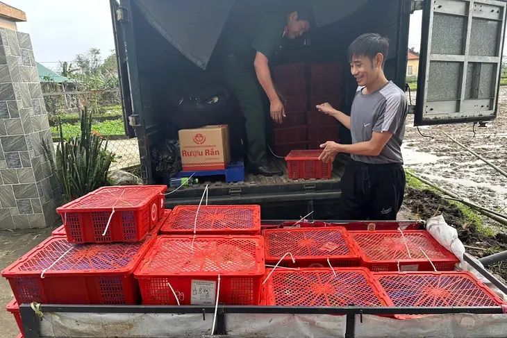 Bàn giao 676 con rắn hổ mang nặng gần 1 tấn cho Trại rắn Đồng Tâm