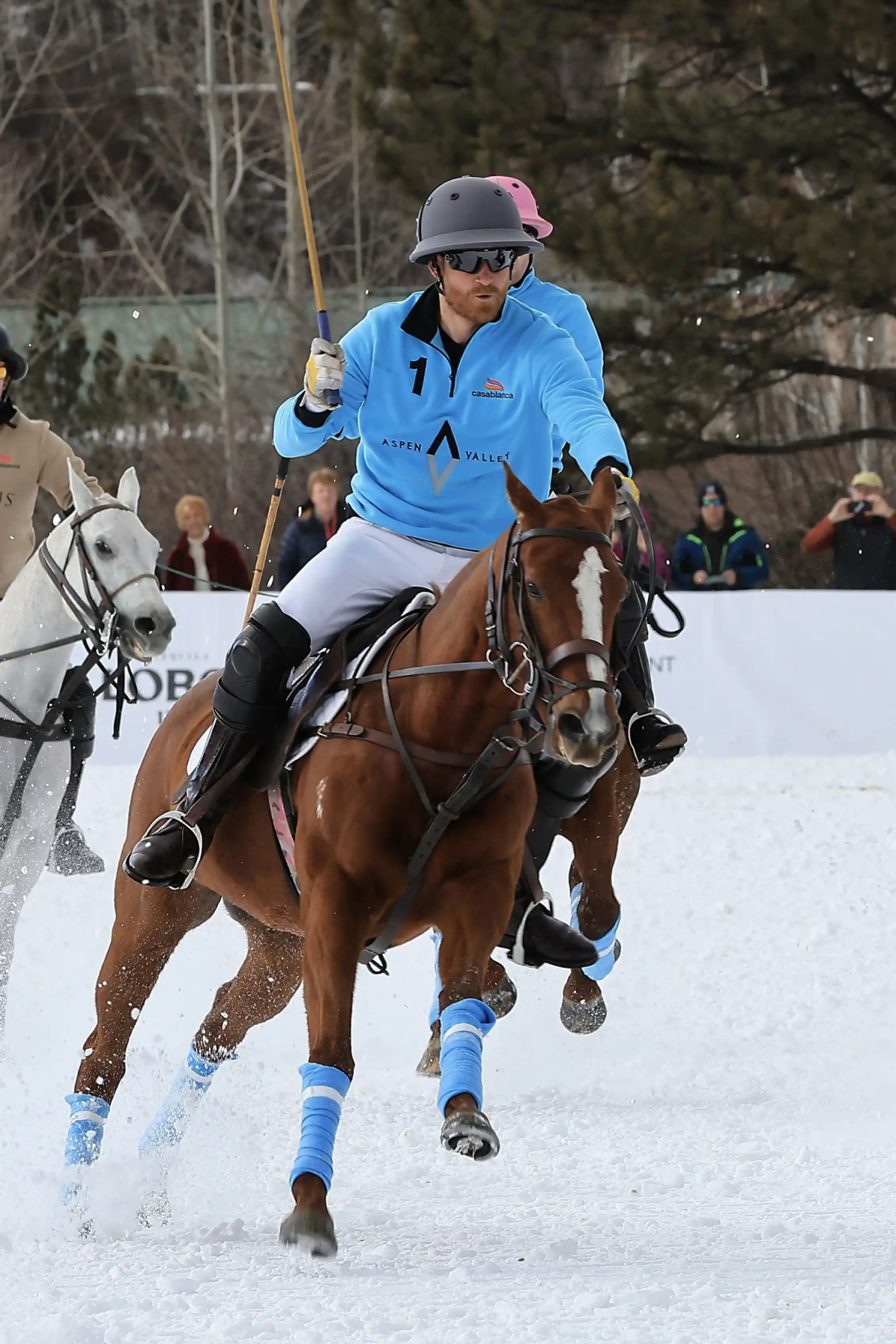 Harry bỏ tước hiệu và sử dụng tên đặc biệt khi thi đấu polo