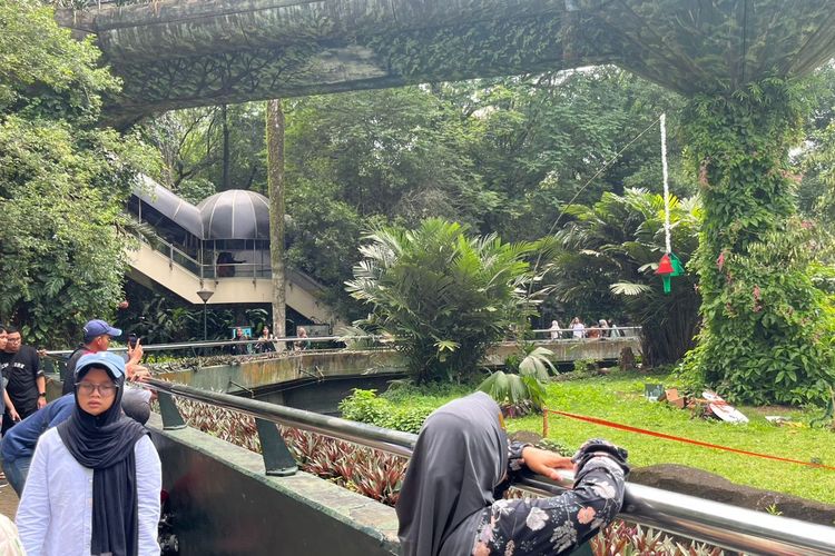 Libur Tahun Baru di Ragunan, Pengunjung Tonton Pertunjukan Hewan