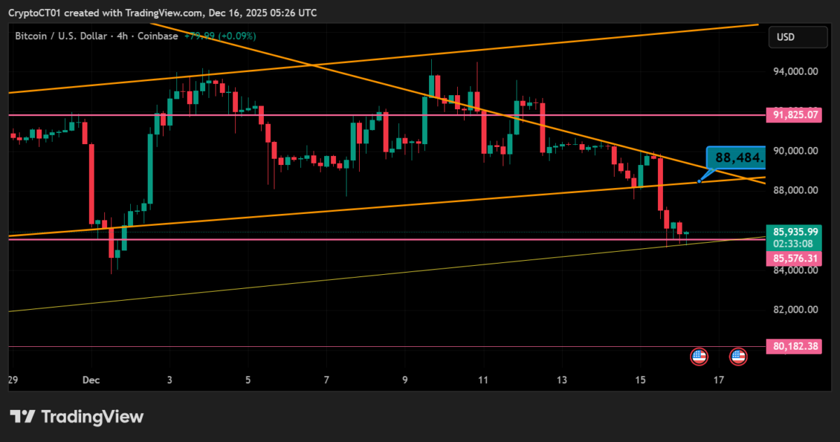 Koin kripto terbaik untuk investasi: Mengapa satu koin kripto baru naik sementara Bitcoin (BTC) turu