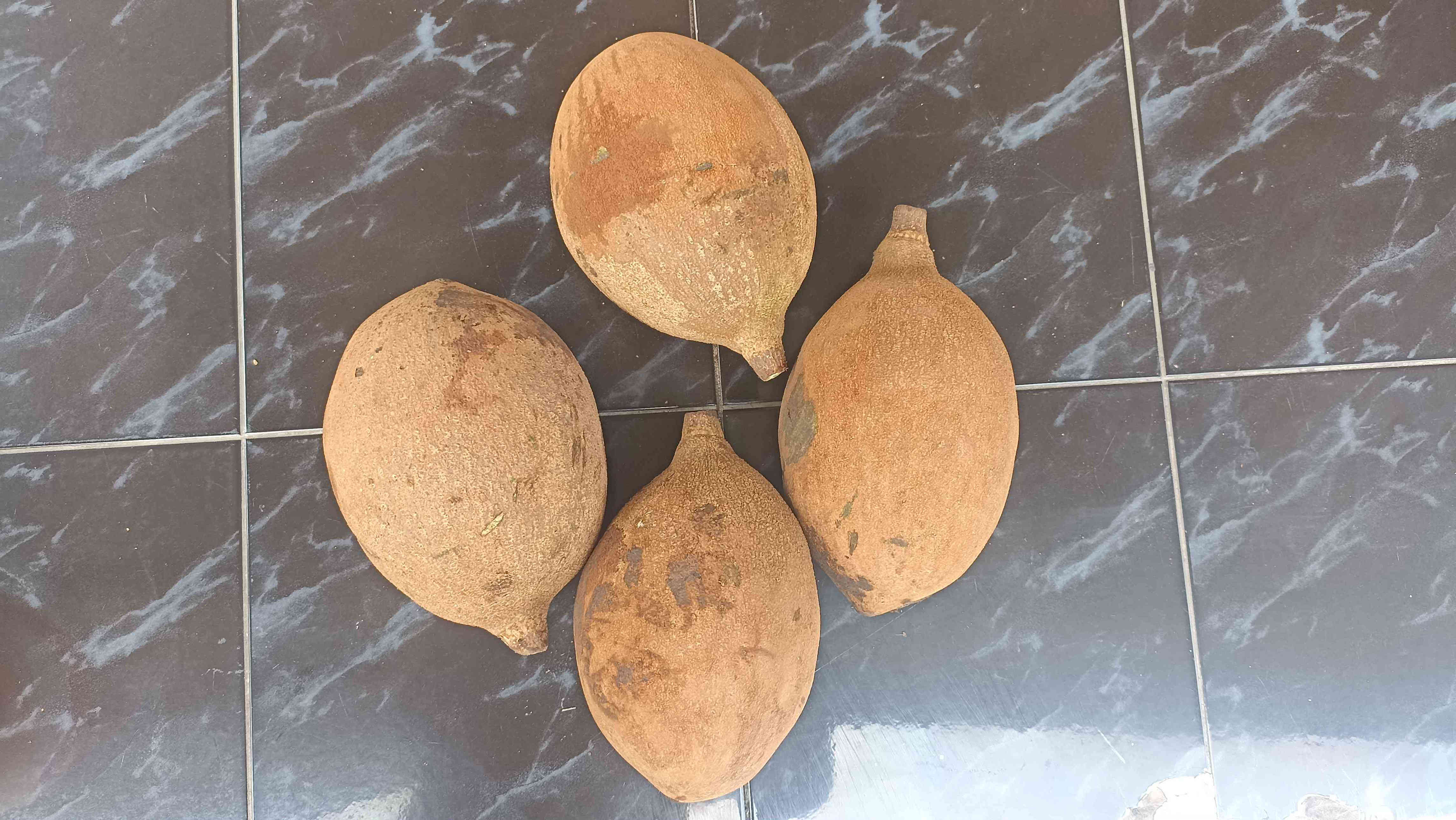 Picung Bangkit: Transformasi Makanan Lokal Bergizi