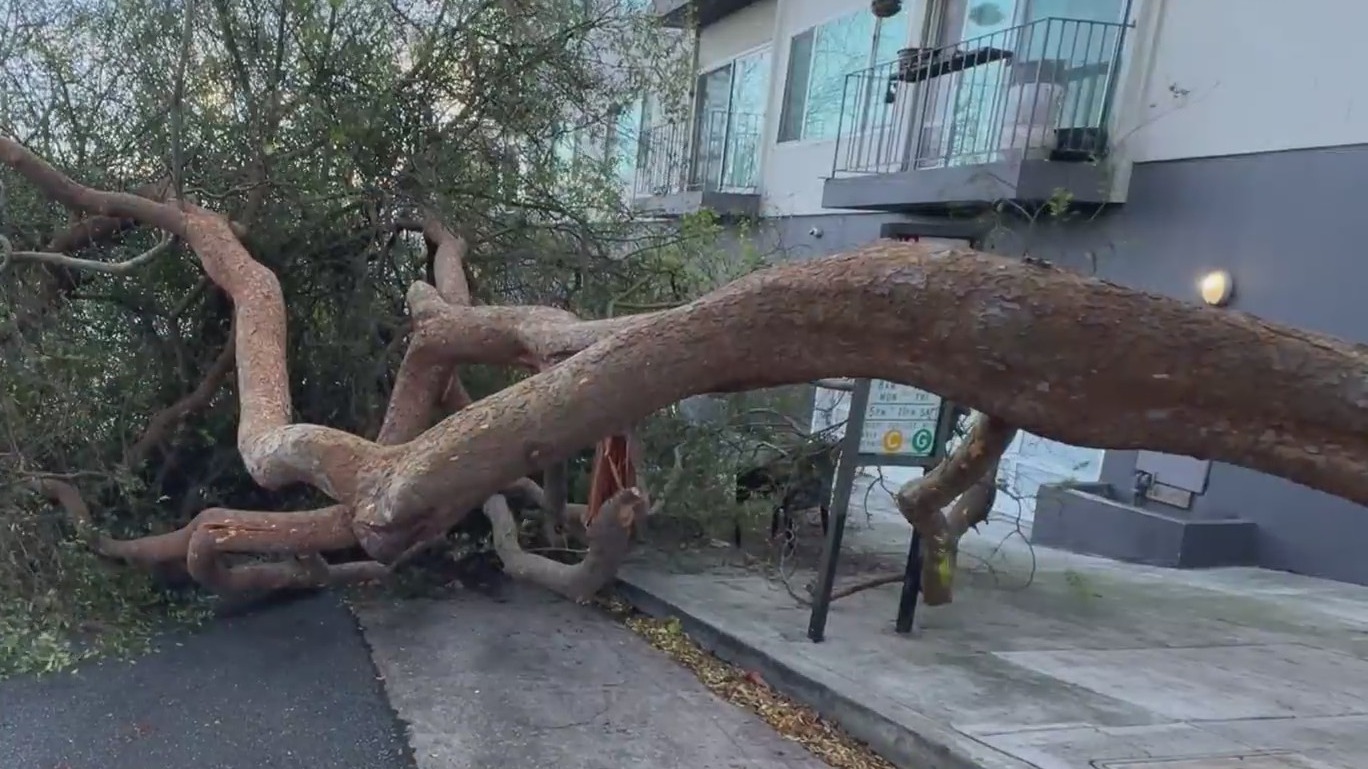 Intense storm leaves damage across Bay Area for Christmas as new storm ...
