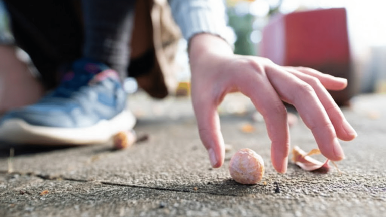 Scientists tested the '5 second rule' once and for all