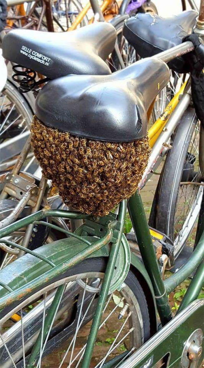 30 Times Nature Made Us Say “NOPE”