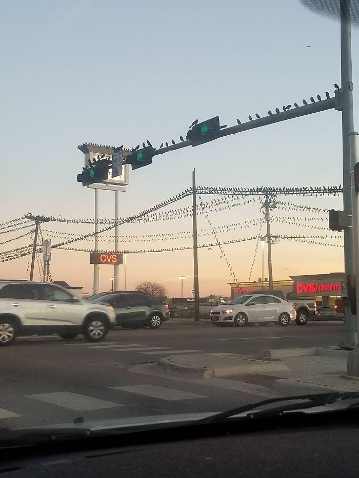 30 Times Nature Made Us Say “NOPE”