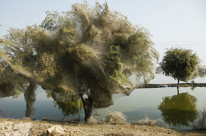 30 Times Nature Made Us Say “NOPE”