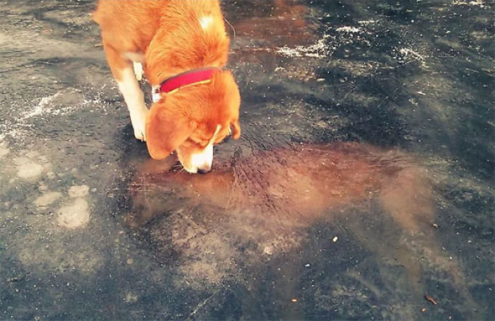 30 Times Nature Made Us Say “NOPE”