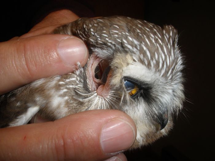 30 Times Nature Made Us Say “NOPE”