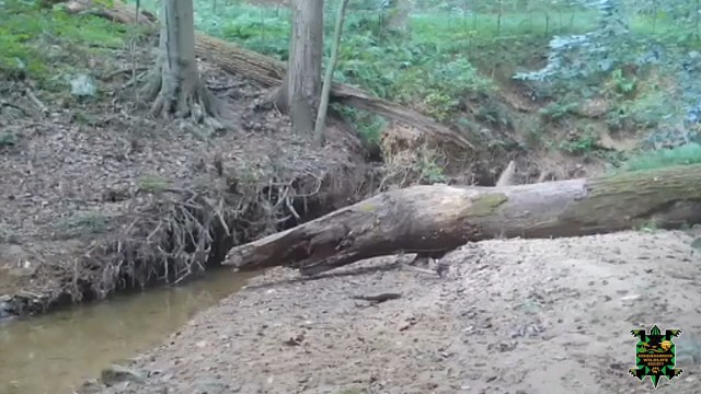 Advocates stunned when trail camera captures verified sighting of ...