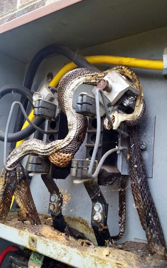 30 Times Nature Made Us Say “NOPE”