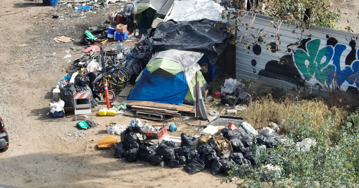 LA garbage crisis is so bad one man quit his job to pick up the city's ...