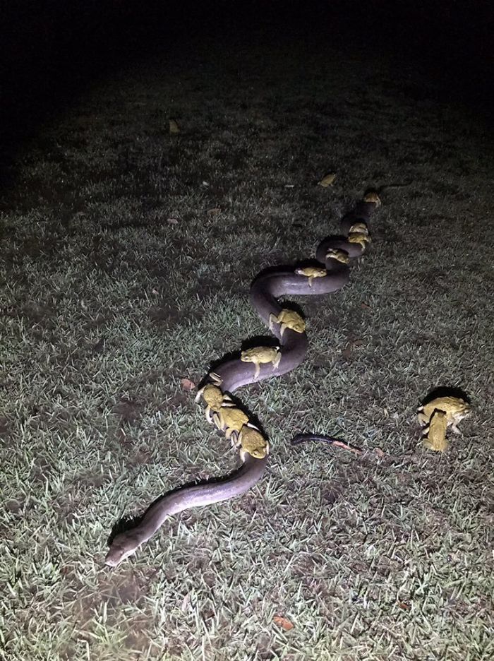 30 Times Nature Made Us Say “NOPE”