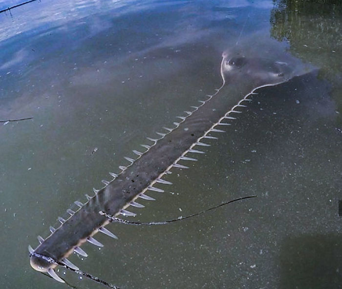 30 Times Nature Made Us Say “NOPE”