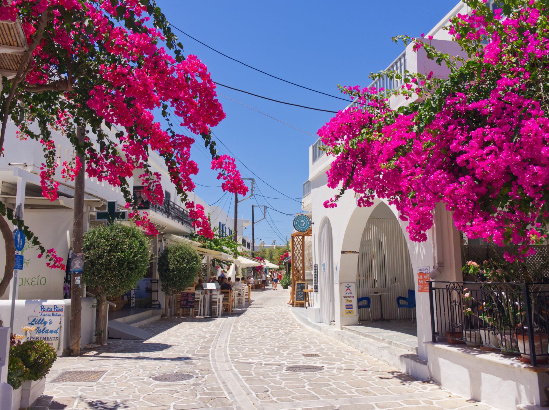 A cobbled street with whitewashed houses and bright pink bougainvillea flowers under a blue sky.