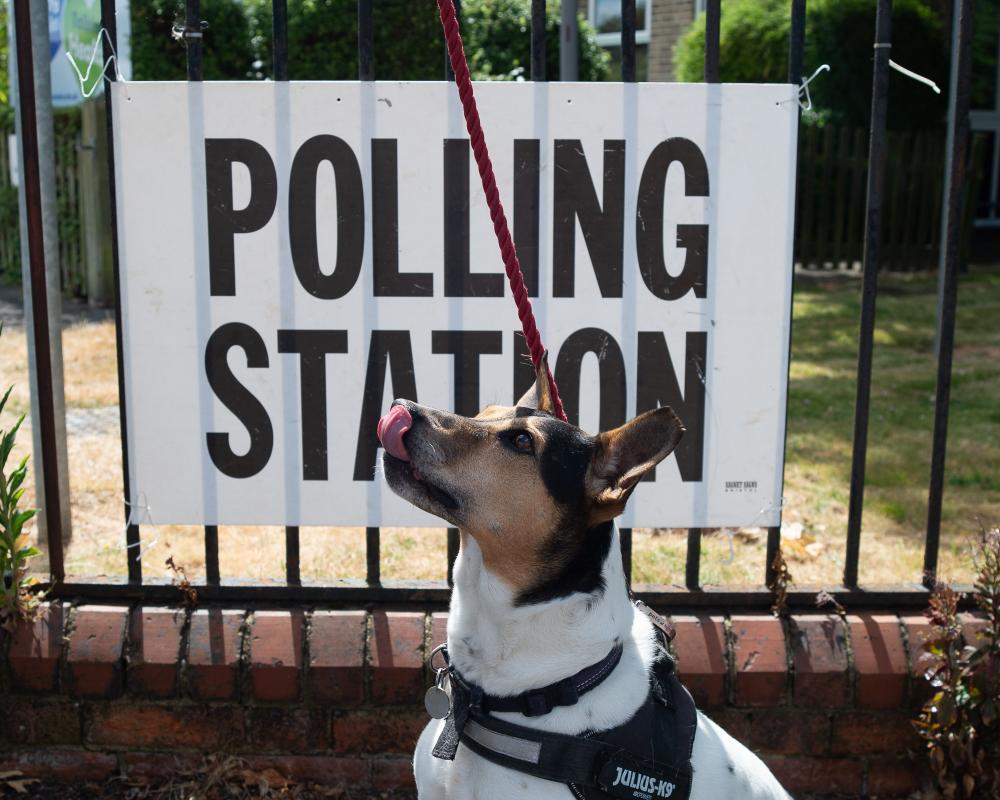 UK ministers urged to cap political donations to 'rebuild voter confidence'