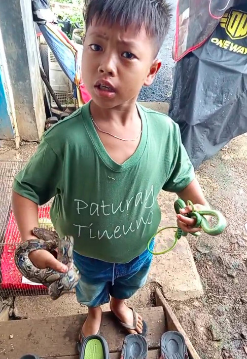 Kisah Dika, Bocah Pencari Ular di Bandung