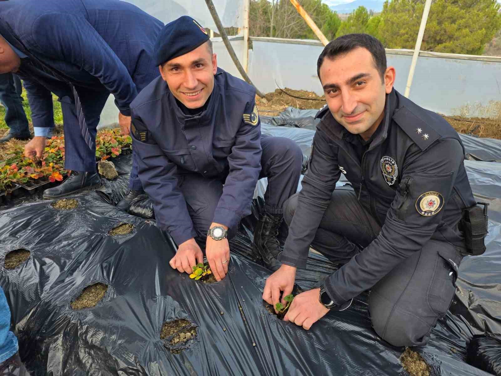 MANİSA’NIN GÖRDES İLÇESİNDE HAYATA GEÇİRİLEN "SEVGİMİZİ SERAMIZDA BÜYÜTÜYORUZ" PROJESİ KAPSAMINDA OKUL BAHÇESİNDE KURULAN SERADA YETİŞTİRİLECEK ÇİLEKLERDEN ELDE EDİLECEK GELİR, ENGELLİ BİREYLER YARARINA KULLANILACAK.