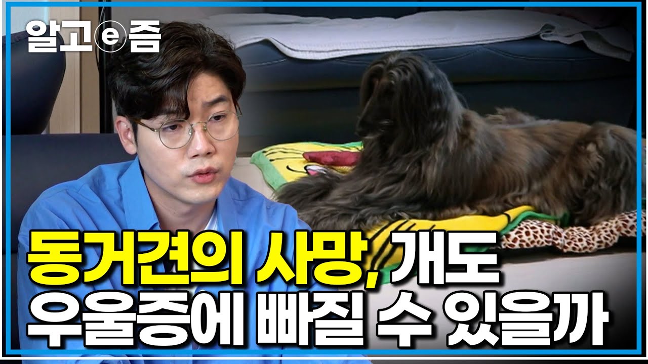이별 후 무너진 다롱이, 설쌤이 발견한 마음의 병｜세상에 나쁜 개는 없다｜알고e즘 | Watch