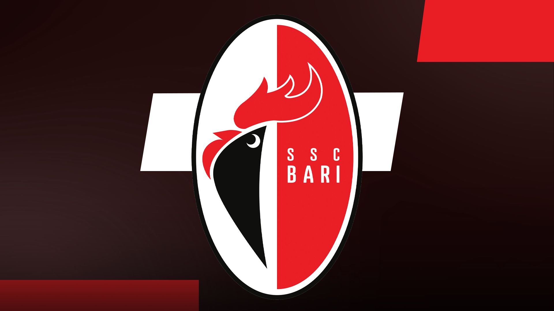 Bari, programmazione del futuro in alto mare e ora... senza stadio ...