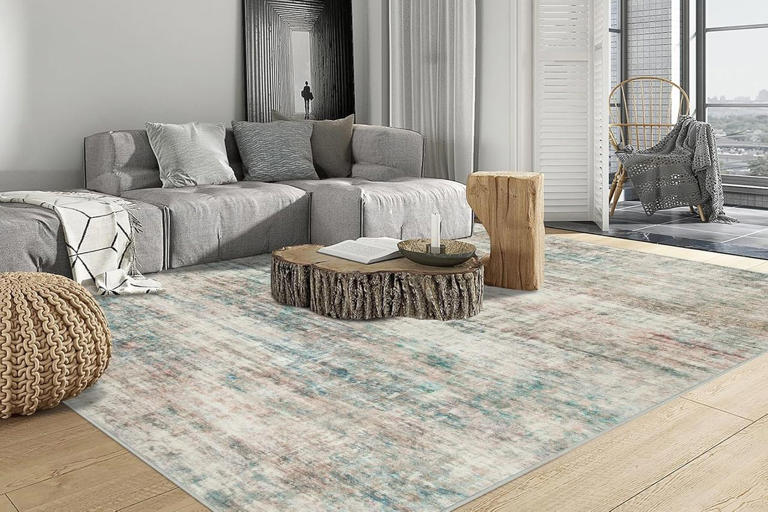 Amazon is packed with more than 60,000 area rugs, but we found 10 ...
