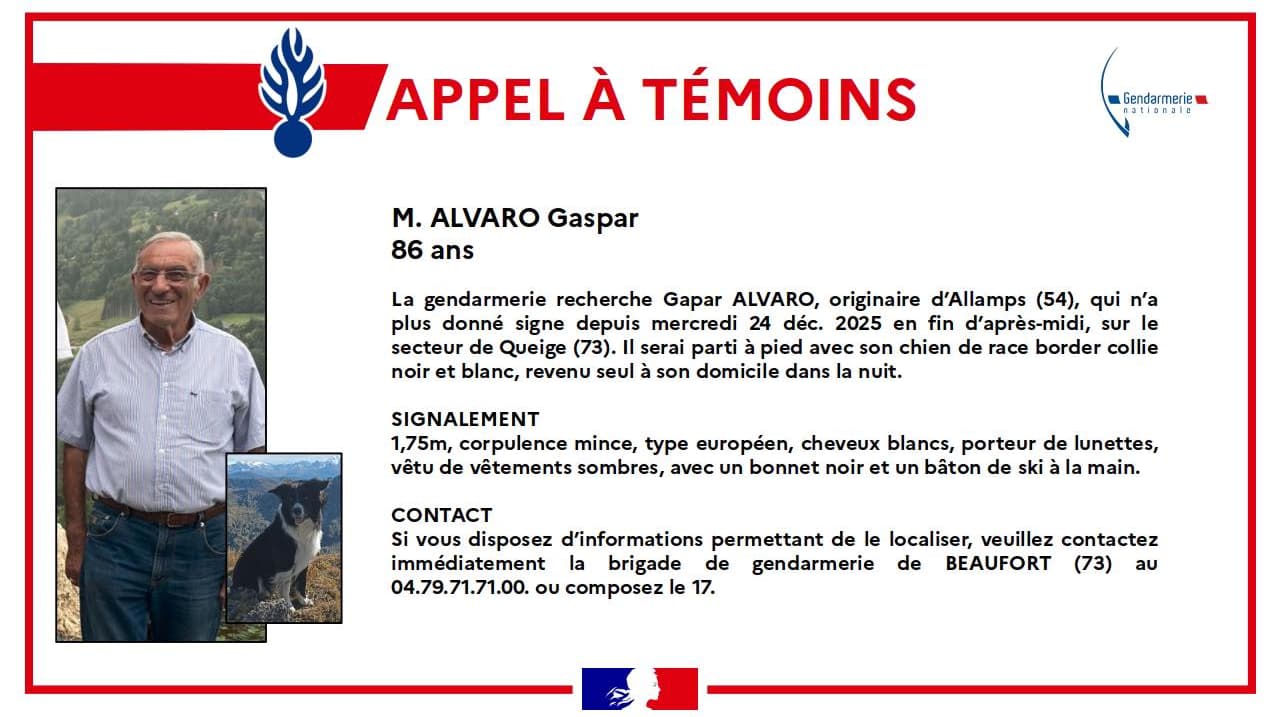 Son chien est revenu seul à son domicile : la gendarmerie lance un ...