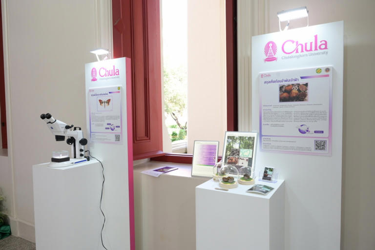 เปิด 43 สิ่งมีชีวิตใหม่ของโลก ปรากฏการณ์ใหม่ทางวิทยาศาสตร์ไทย