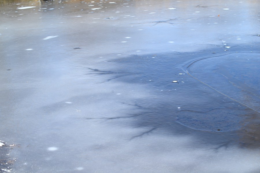 NY boy, 8, pulled from freezing pond on Long Island<br><br>