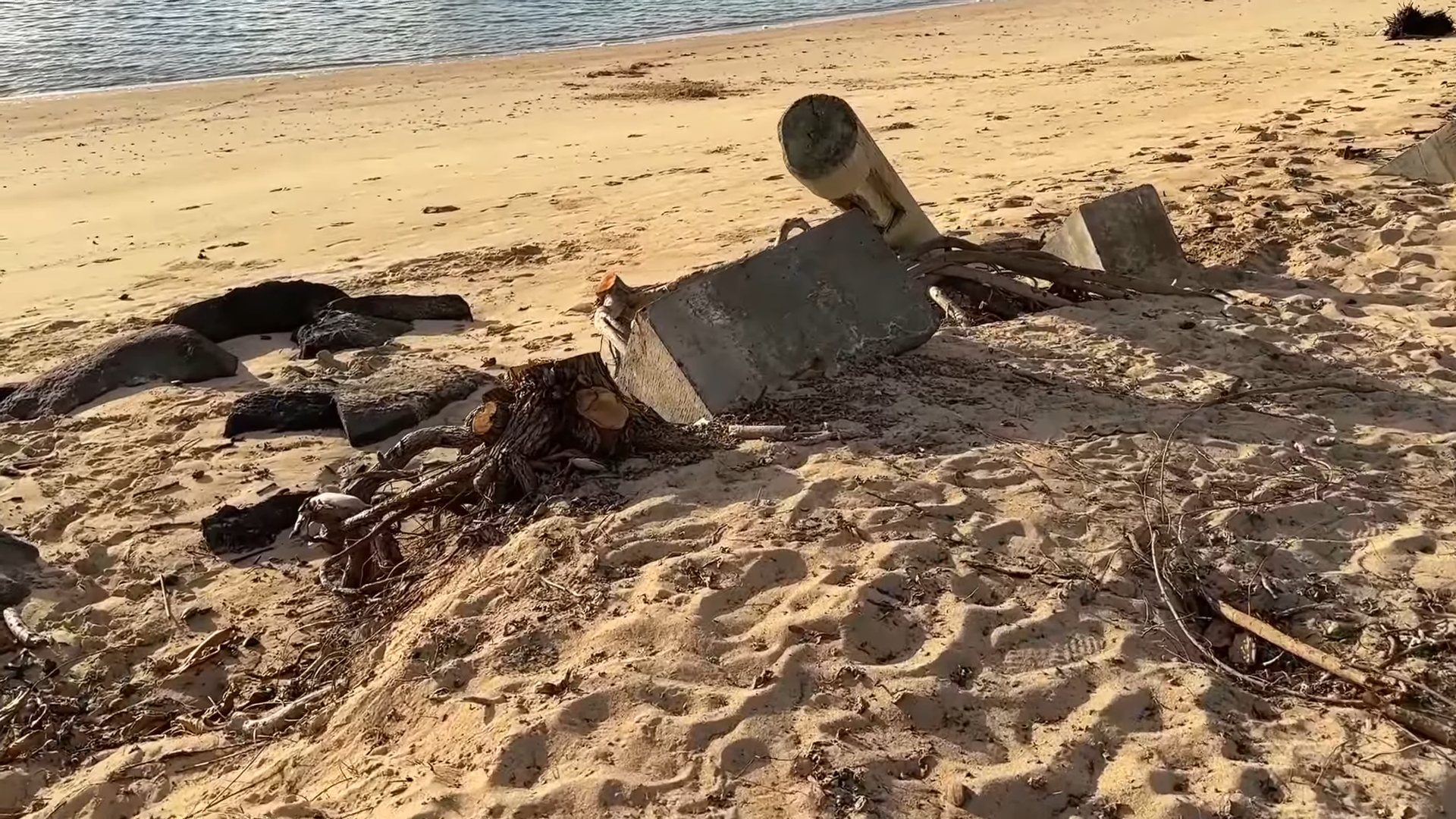 What human intervention did to a perfect shore