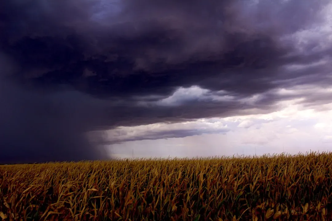 Shifting conditions in the US Corn Belt and what they mean for farmers