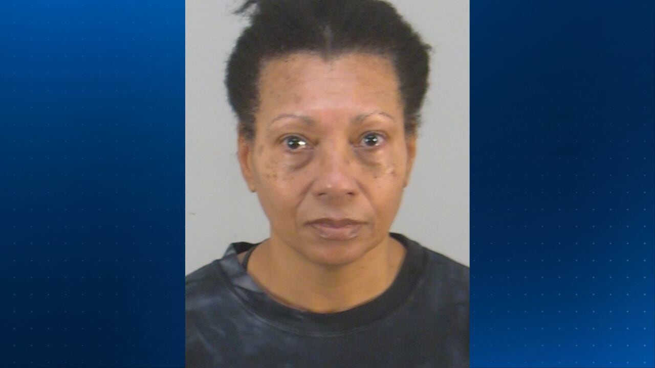 Lawyer for woman accused of drowning her dog at Orlando airport ...