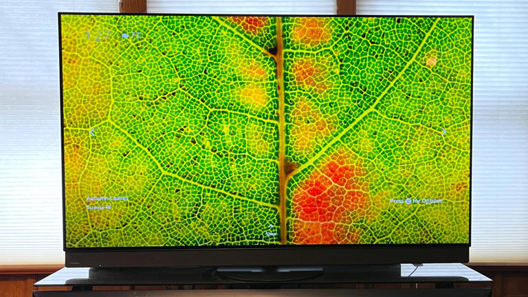 I test TVs for a living — these are the 5 models in 2025 that stood out