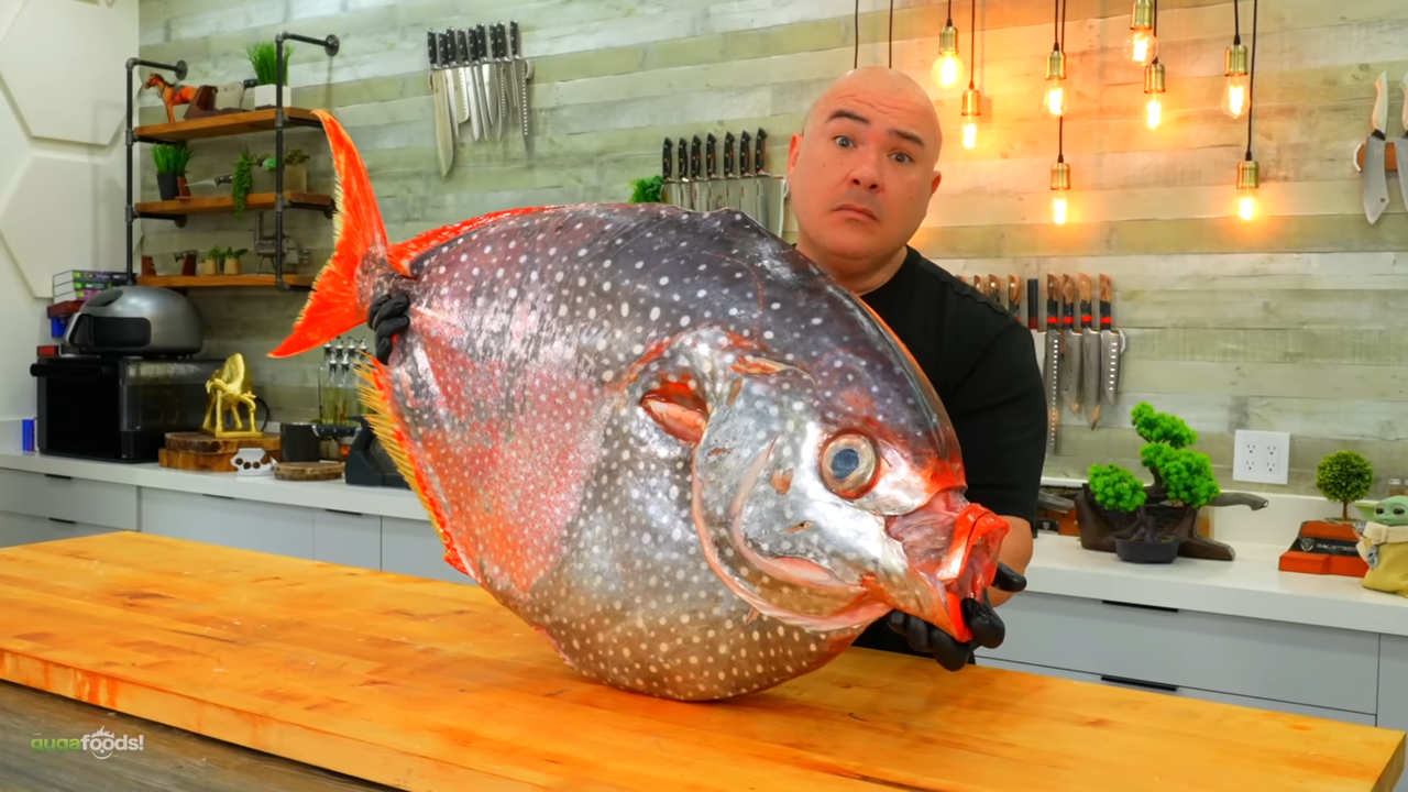 This is the wagyu of the sea