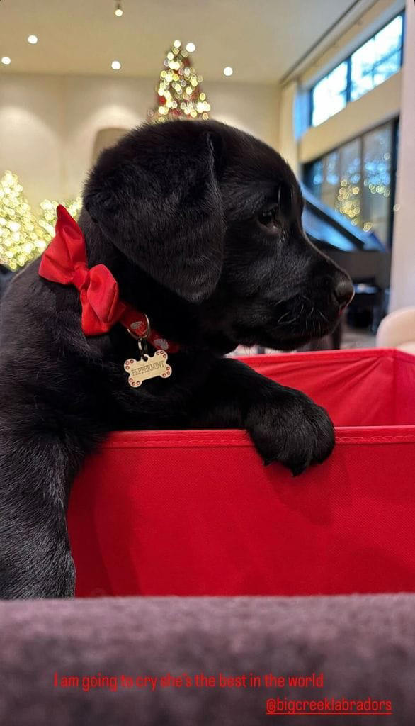 Khloé Kardashian dio a sus hijos un cachorro en Navidad.