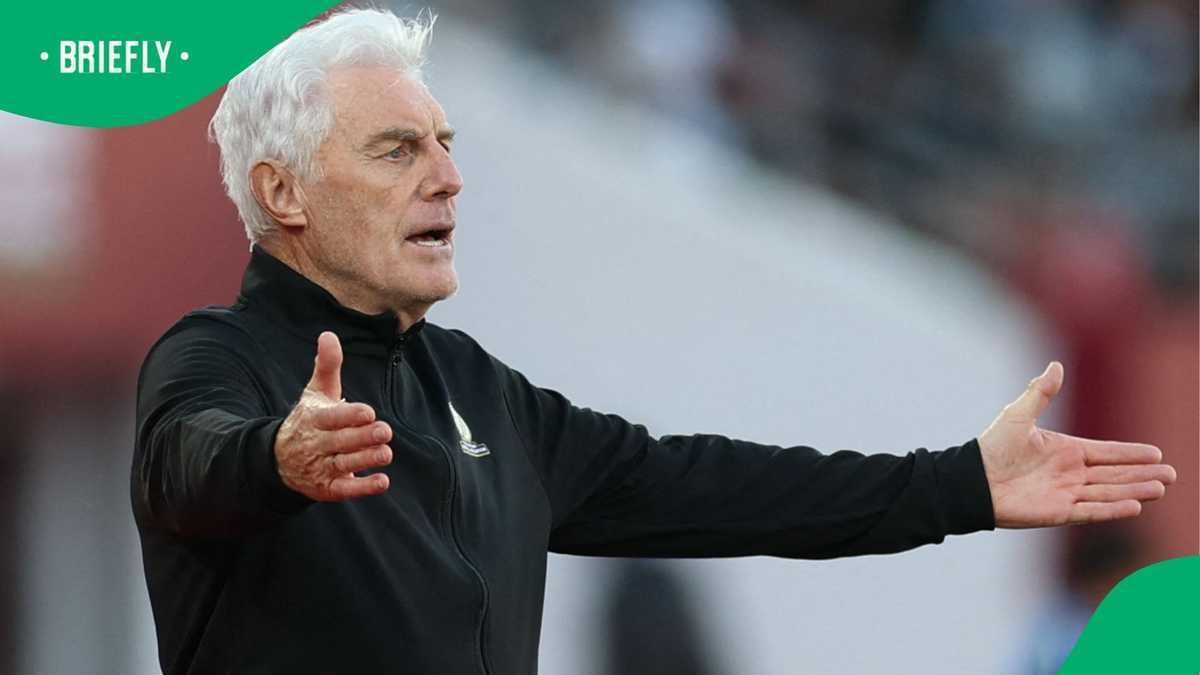 Hugo Broos: Salary, Net Worth & Life of Bafana Bafana Coach - lifestyle news from Briefly