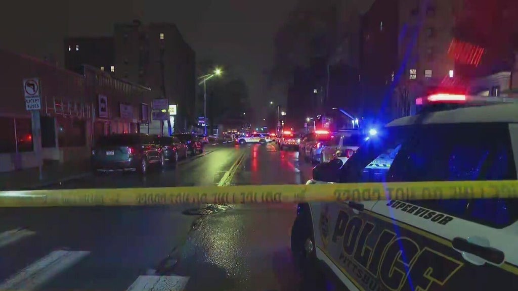 Officers in Pittsburgh shoot at man who fired shots at woman and her ...