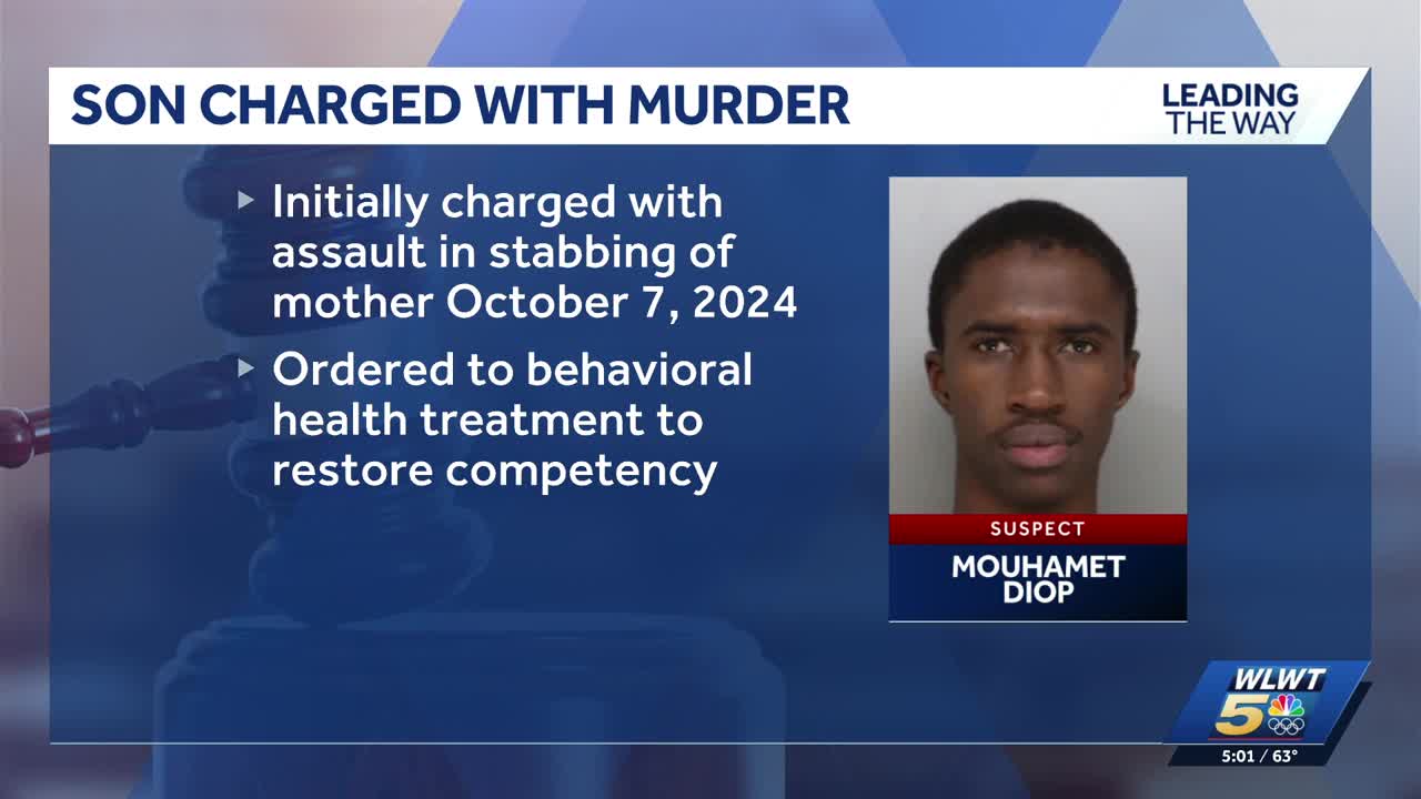 Man accused of stabbing his mother in Hartwell