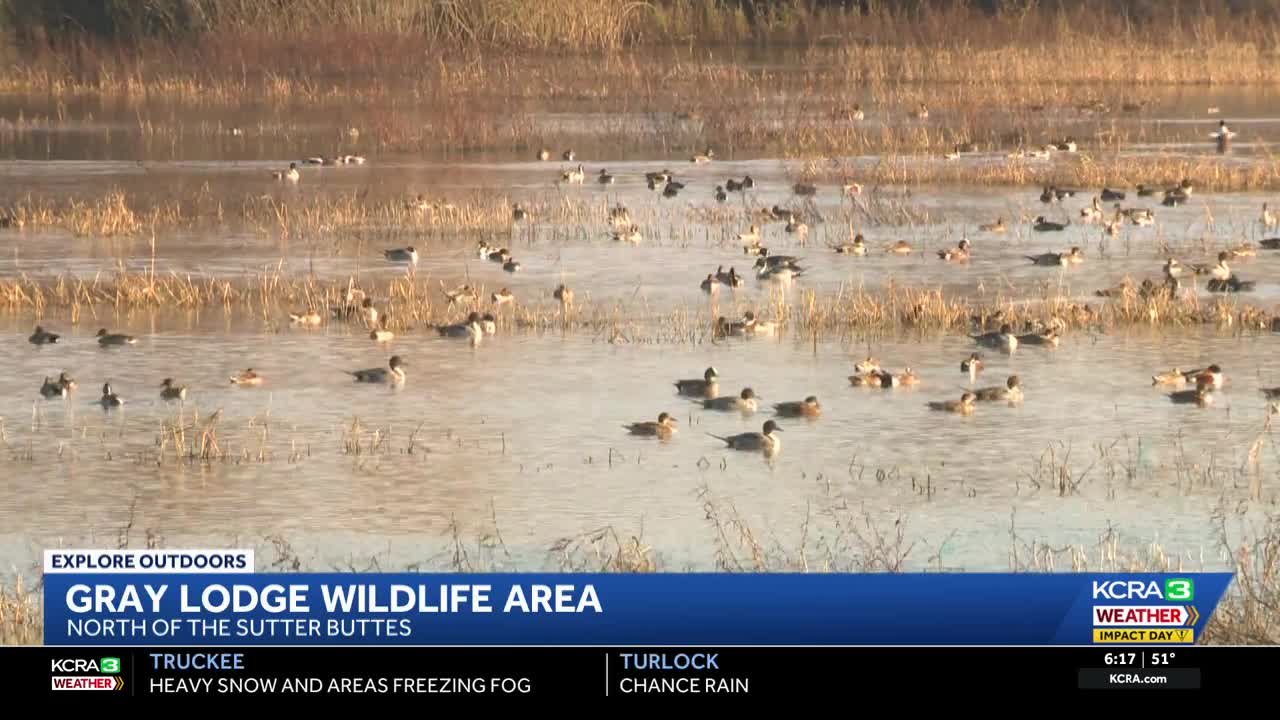 Explore outdoors | Gray Lodge Wildlife Area