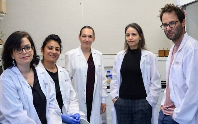 Israeli scientists say tiny organisms can revamp their own RNA to survive extreme heat