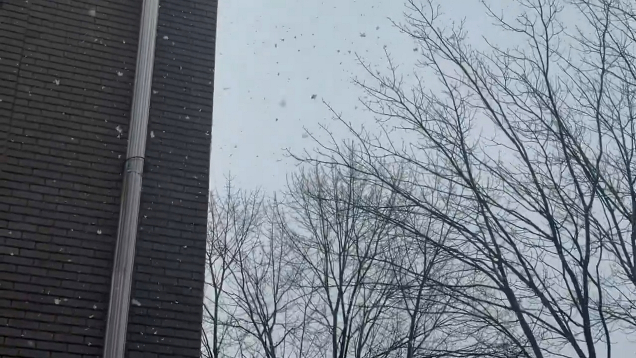 Heavy snowfall blankets Bloomfield streets and neighborhoods, New ...