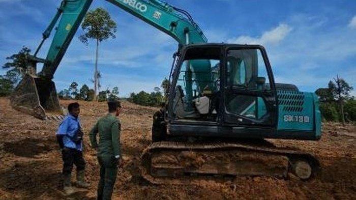 Jangan Tinggal Lihat, Tuntut Pemodal Penghancur Hutan Balikpapan